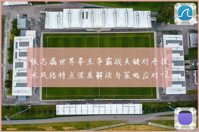 张志磊世界拳王争霸战关键对手技术风格特点深度解读与策略应对