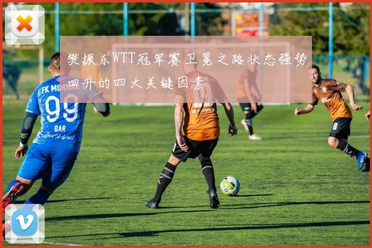 樊振东WTT冠军赛卫冕之路状态强势回升的四大关键因素