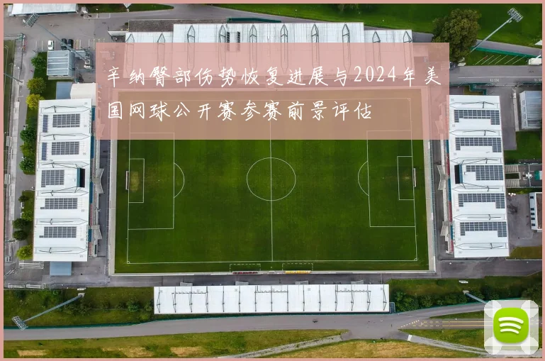 辛纳臀部伤势恢复进展与2024年美国网球公开赛参赛前景评估